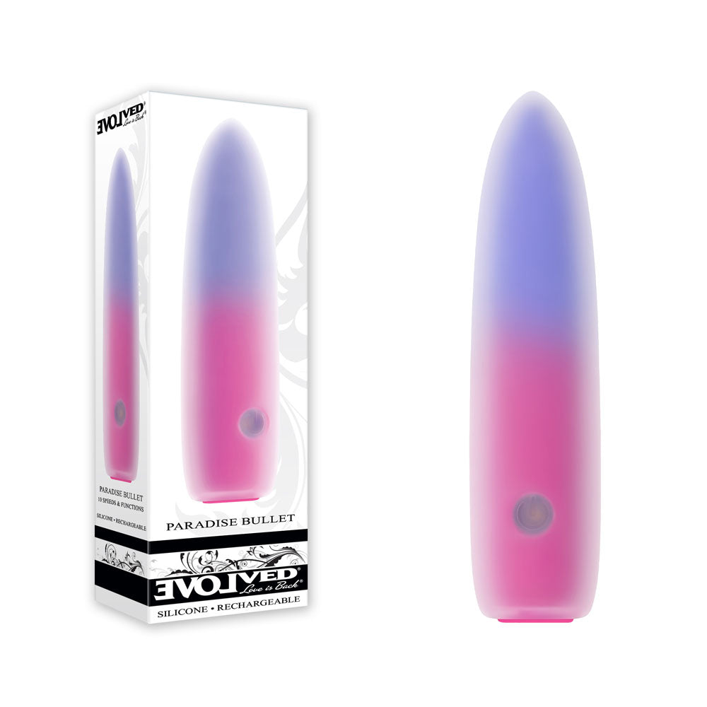 Evolved PARADISE BULLET - Pink/Purple 10.2 cm USB Rechargeable Bullet