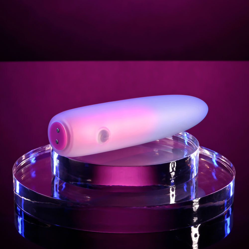 Evolved PARADISE BULLET - Pink/Purple 10.2 cm USB Rechargeable Bullet